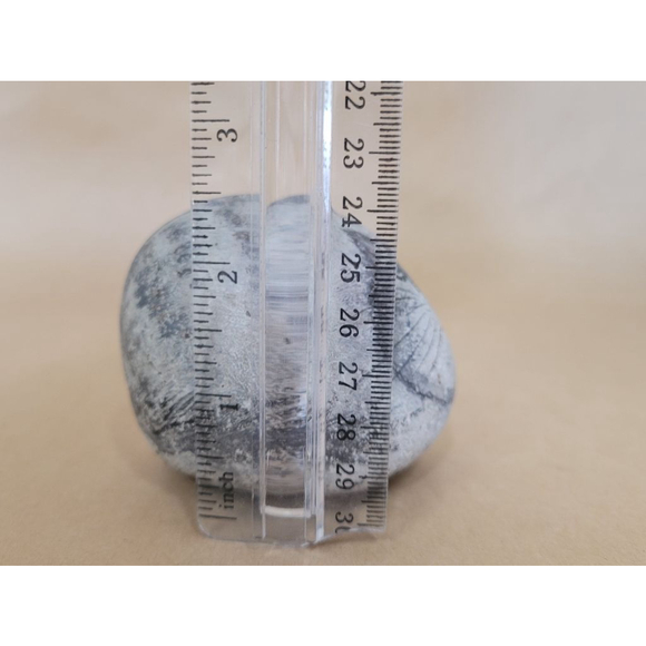 Paperweight Gray Cat Rock Painting by Sally Scott, Lexington, Mass. - Picture 7 of 9